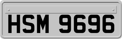 HSM9696