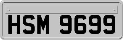 HSM9699