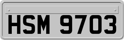 HSM9703