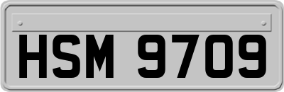 HSM9709