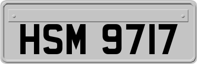 HSM9717