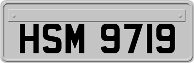 HSM9719