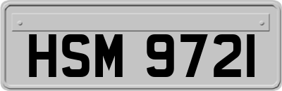 HSM9721