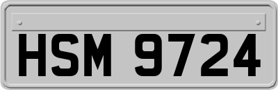 HSM9724