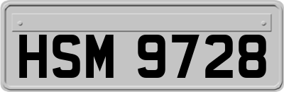 HSM9728
