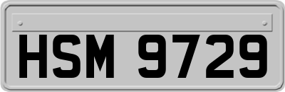 HSM9729