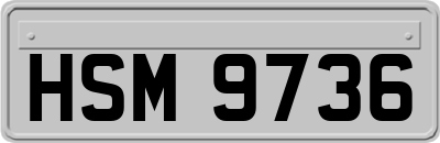 HSM9736