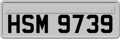 HSM9739