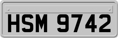HSM9742