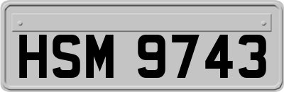 HSM9743
