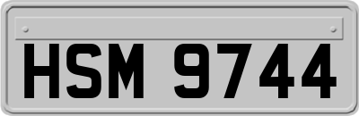 HSM9744