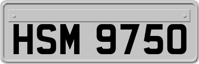 HSM9750