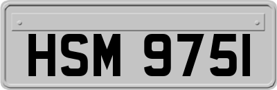 HSM9751