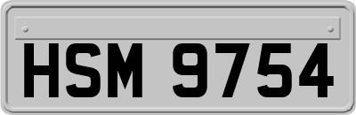 HSM9754