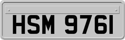 HSM9761