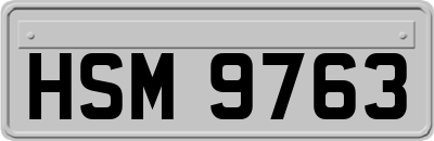 HSM9763