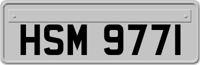 HSM9771
