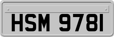 HSM9781