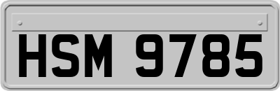 HSM9785