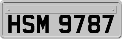 HSM9787