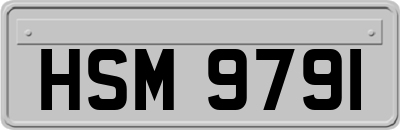 HSM9791