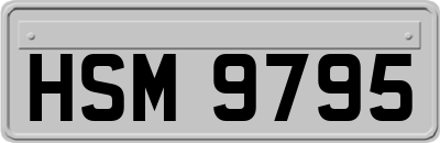 HSM9795