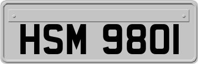 HSM9801