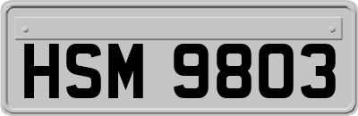 HSM9803