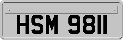 HSM9811