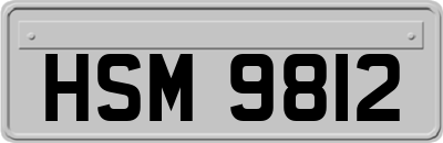 HSM9812