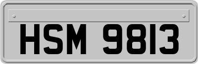 HSM9813