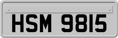 HSM9815