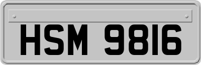 HSM9816