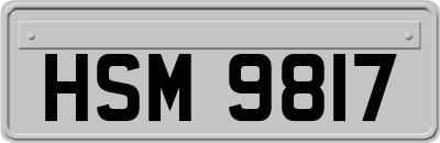 HSM9817