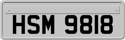 HSM9818