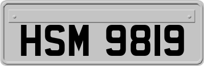 HSM9819