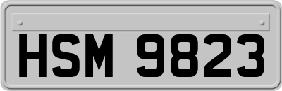 HSM9823