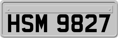HSM9827