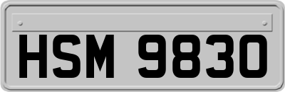 HSM9830