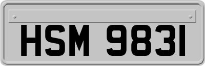HSM9831
