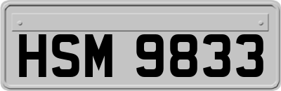 HSM9833