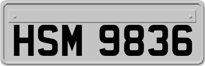 HSM9836