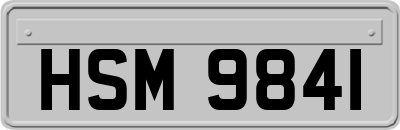 HSM9841