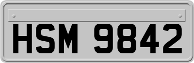 HSM9842