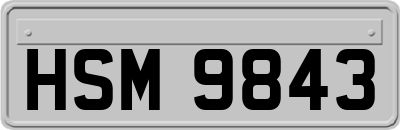 HSM9843