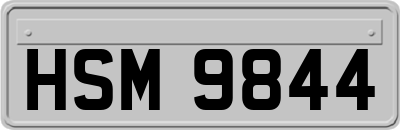 HSM9844