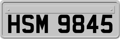 HSM9845