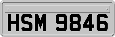 HSM9846