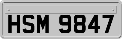 HSM9847