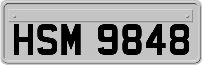 HSM9848
